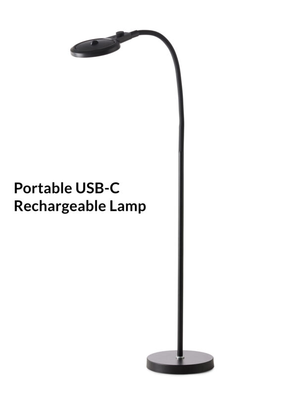 Magni Charge Portable Floor Lamp Black